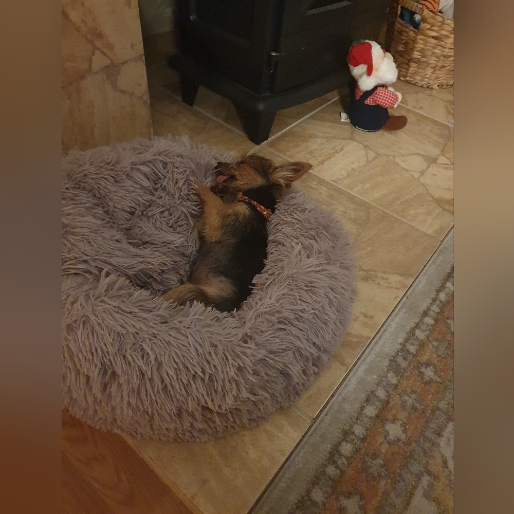 Meet your Posher, Brenda